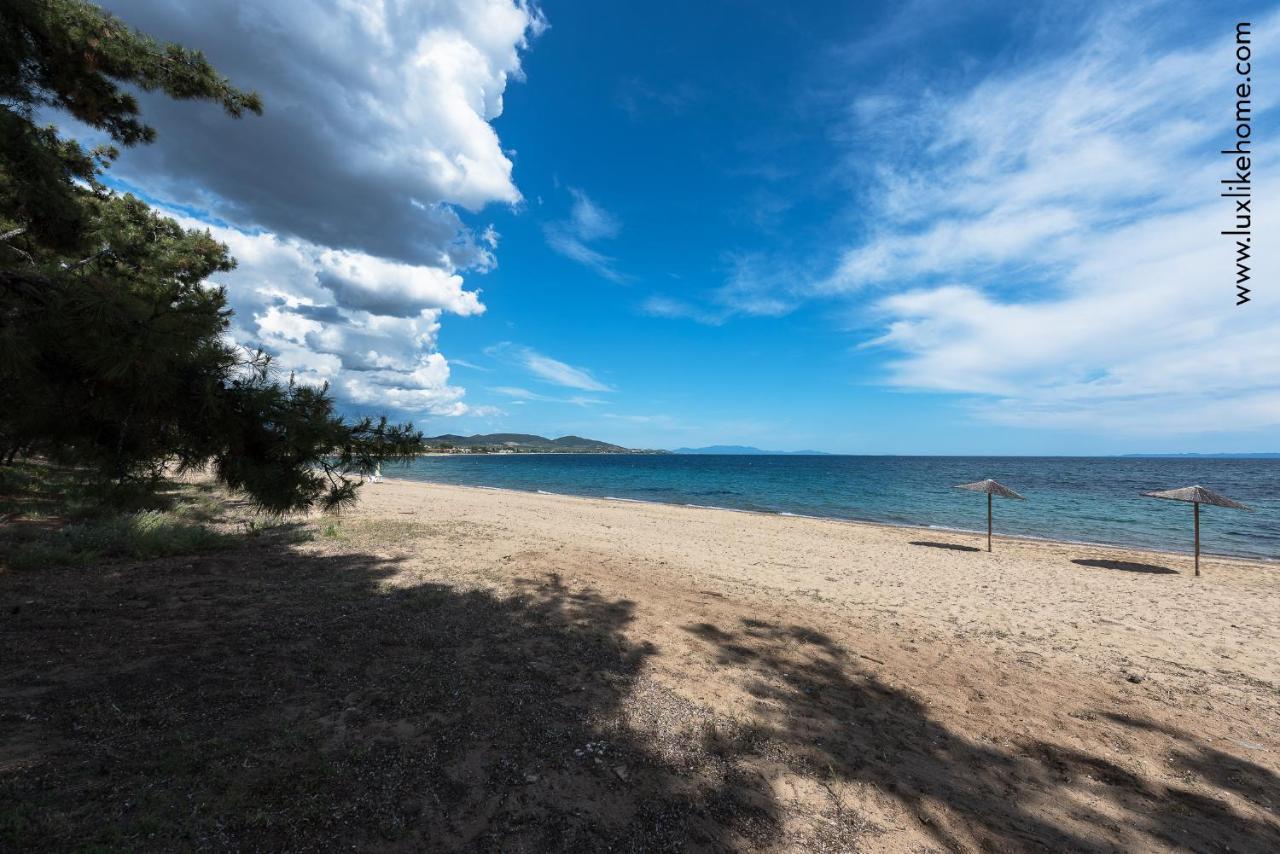 #Luxlikehome - Mediterranee Beachfront Summer House Kalyves Polygyrou Екстер'єр фото